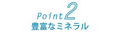 Point3豊富なミネラル